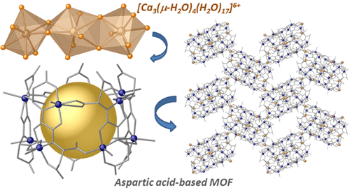 A Biocompatible Aspartic-Decorated Metal−Organic Framework with Tubular Motif Degradable under Physiological Conditions (Inorg. Chem. 2021, 60, 18, 14221–14229)