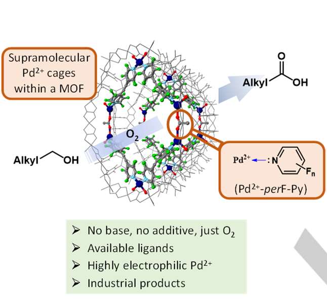 MOF–stabilized perfluorinated palladium cages catalyze the additive–free aerobic oxidation of aliphatic alcohols to acids (Chem. Eur. J. 2021, e202103781)